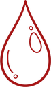 Phase menstruelle